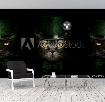 Picture of dark muzzle cat in green hat and tie butterfly